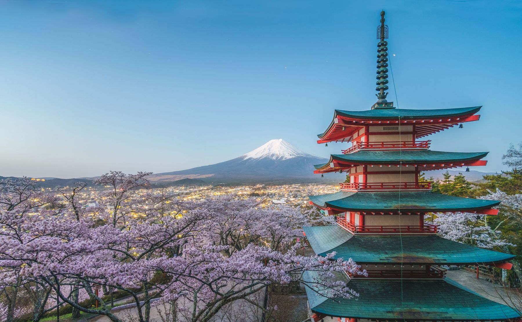 Chureito Pagoda among cherry blossoms with Mt Fuji and the lights of Fujiyoshida at dusk