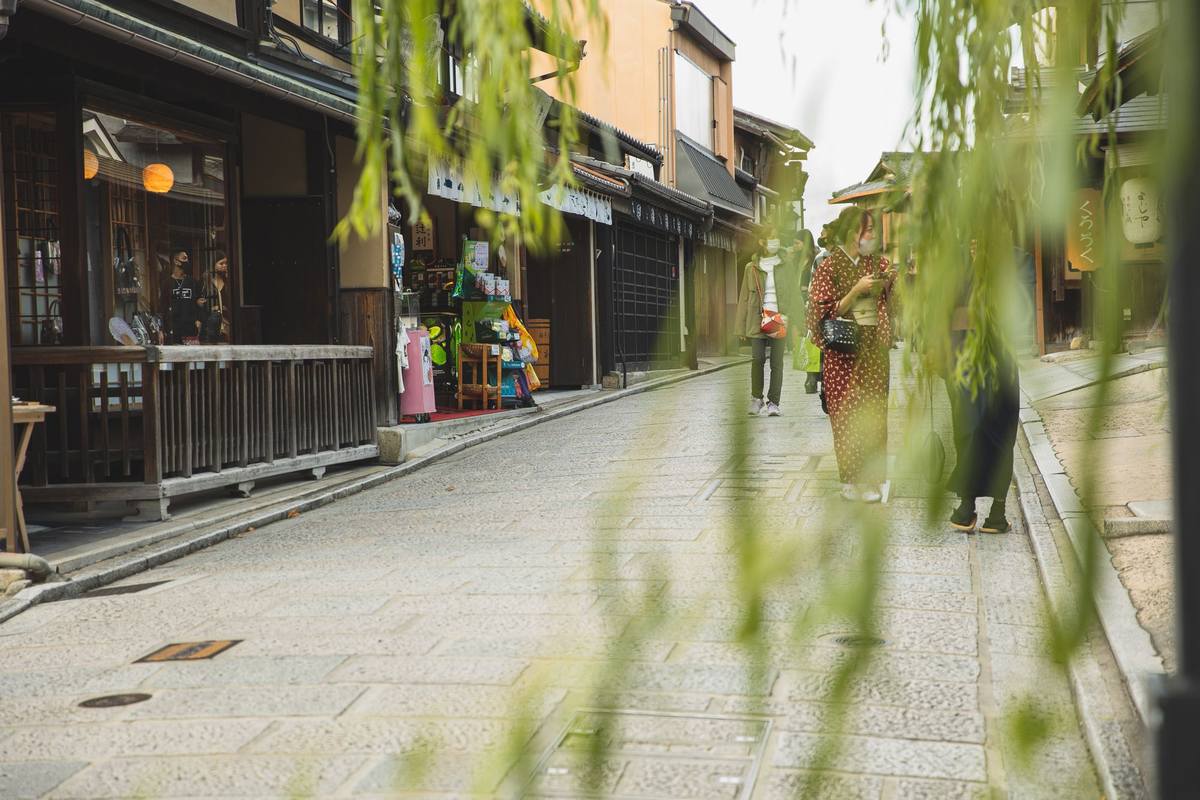 Stone-paved street lined with traditional wooden townhouses in Kyoto, with willow branches in the foreground
